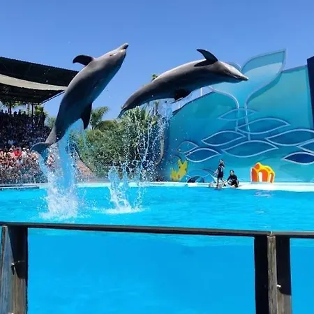 Homestay Charmoso A 300m Da De Olhos De Agua !
